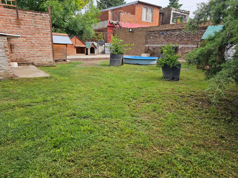 Patio con pasto, plantas y cuchas de la guardería canina en Funes